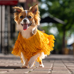 Fundraising Page: Matthew Speer